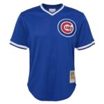 Ryne Sandberg Chicago Cubs Mitchell & Ness Youth Cooperstown Collectionu00c2u00a0Mesh Batting Practice Jersey - Royal