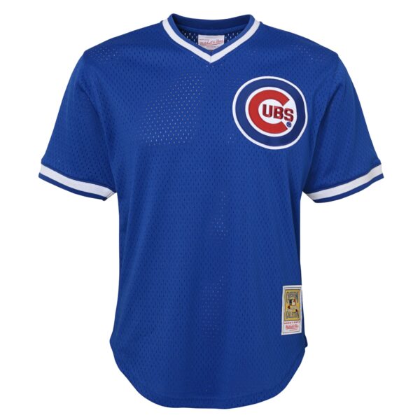 Ryne Sandberg Chicago Cubs Mitchell & Ness Youth Cooperstown Collectionu00c2u00a0Mesh Batting Practice Jersey - Royal