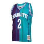 Larry Johnson Charlotte Hornets Mitchell & Ness Hardwood Classics Mitchell & Ness Split Swingman Jersey - Teal/Purple