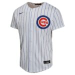 Dansby Swanson Chicago Cubs  Youth Home Game Player Jersey - White