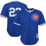 Ryne Sandberg Chicago Cubs Mitchell & Ness Youth Cooperstown Collectionu00c2u00a0Mesh Batting Practice Jersey - Royal