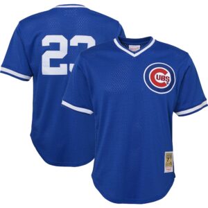 Ryne Sandberg Chicago Cubs Mitchell & Ness Youth Cooperstown Collectionu00c2u00a0Mesh Batting Practice Jersey - Royal