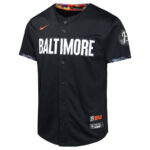 Adley Rutschman 35 Baltimore Orioles City Connect Limited YOUTH Jersey - Black