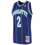 Larry Johnson Charlotte Hornets Mitchell & Ness 1994/95 Hardwood Classics Swingman Jersey - Purple