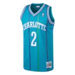 Larry Johnson Charlotte Hornets Mitchell & Ness 1992/93 Hardwood Classics Swingman Jersey - Teal