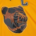 Ray Bourque Boston Bruins Mitchell & Ness  1996/97 Captain Patch Blue Line Player Jersey - Gold