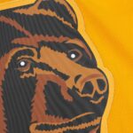 Ray Bourque Boston Bruins Mitchell & Ness  1996/97 Captain Patch Blue Line Player Jersey - Gold