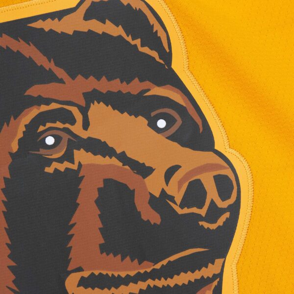 Ray Bourque Boston Bruins Mitchell & Ness  1996/97 Captain Patch Blue Line Player Jersey - Gold